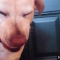 djmoose