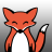 Shy Red Fox