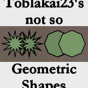 T23's Not So Geometric Shapes