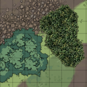 Forest Undergrowth